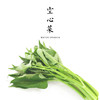空心菜 300g 商品缩略图0