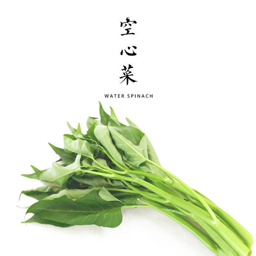 空心菜 300g 商品图0