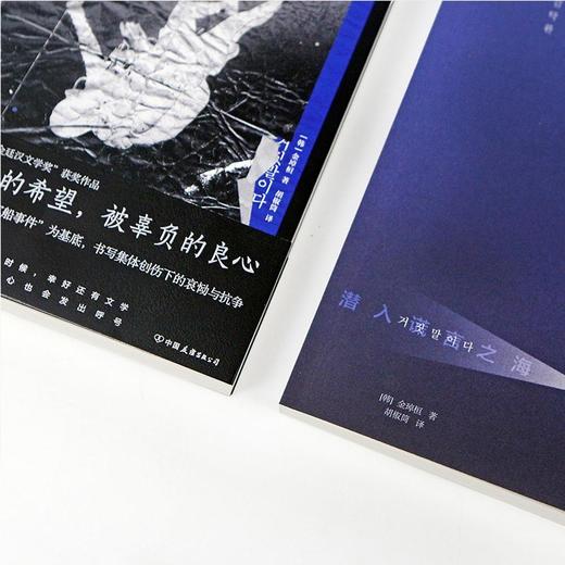 潜入谎言之海 根据韩国世越号沉船事件真人真事改编 纪实长篇小说 商品图2