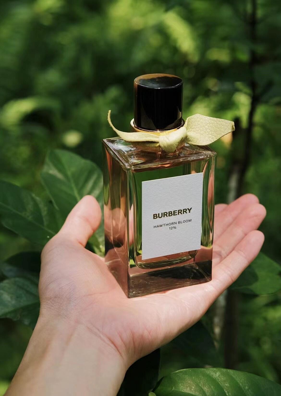 山楂花读不懂白玫瑰，而我懂得你的美，夏天的味道，是微风细雨。是春暖花开。是公园踏青。是鸟语花香。更是那个山楂花独一无二的香气