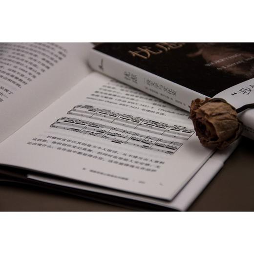 新民说·忧虑：一段文学与文化史（忧虑者的自查手册，“时代疾病”的文化指南） 商品图5