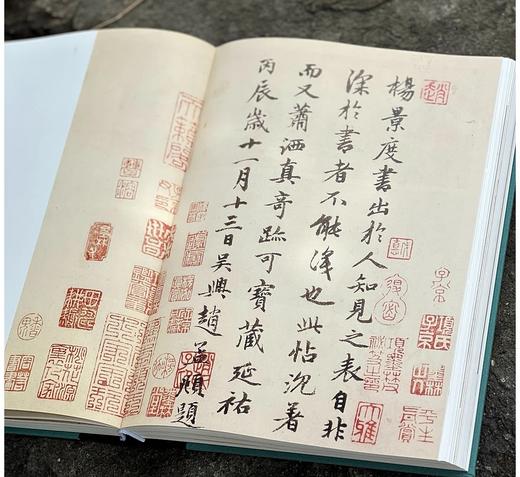 《书画本同 赵孟頫书画题跋集萃》，16开，精装，段奇编著，三联书店2025年4月一版一印，440页，定价398，售价298元。 商品图11