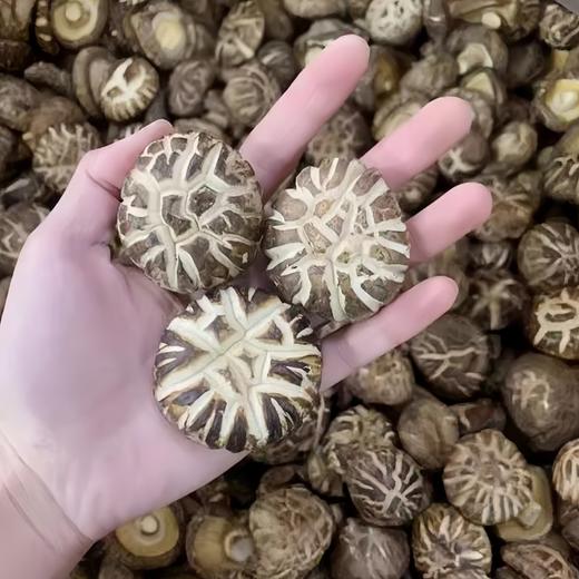 湖北襄阳保康县山水韵花菇500g/袋 商品图3