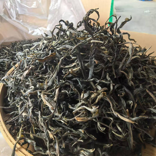 2026年头采【细叶茶后】易武顶奢茶标杆，倚邦古茶山500年以上古树独株，普洱玩家必入茶！500g/份 商品图1