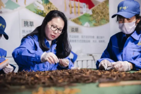 曝光！"天价虫草"跌下神坛！这个叫赠伊的藏族姑娘，在全国火了