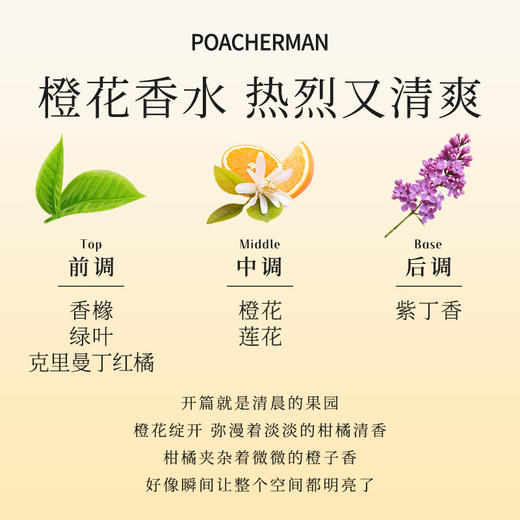 柏世曼7号橙花香水 清新苦橙花香调持久淡香中性小众香水学生香水 商品图2