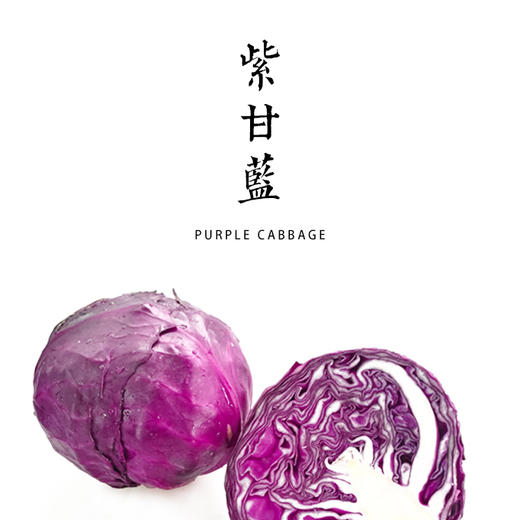 紫甘蓝 600g 商品图0