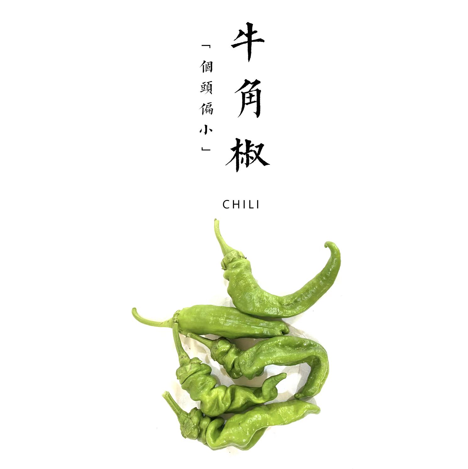 【丰收福利·限时特惠】牛角椒  400g