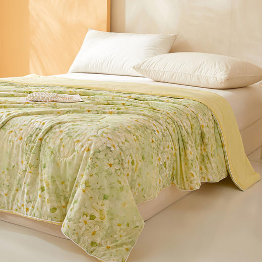 清凉一楼兰夏必备黑科技凉感印花夏凉被AB面亲肤柔软透气 商品图9