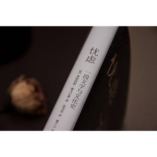 新民说·忧虑：一段文学与文化史（忧虑者的自查手册，“时代疾病”的文化指南） 商品图3