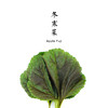 冬寒菜 300g 商品缩略图0