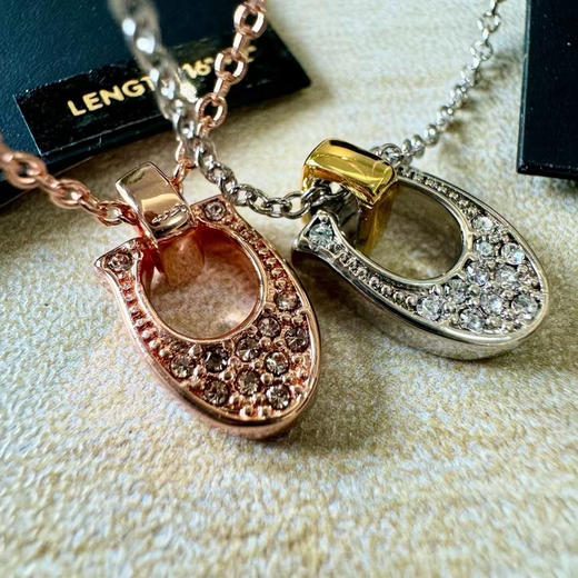 外贸原单 Coach/蔻驰最新款马蹄项链超帅 轻奢不撞款
颜色：玫瑰金 银色
简易包装 商品图2