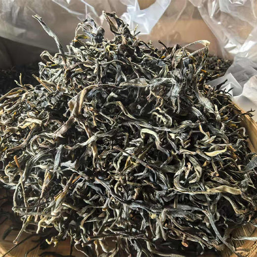 2026年头采【细叶茶后】易武顶奢茶标杆，倚邦古茶山500年以上古树独株，普洱玩家必入茶！500g/份 商品图4