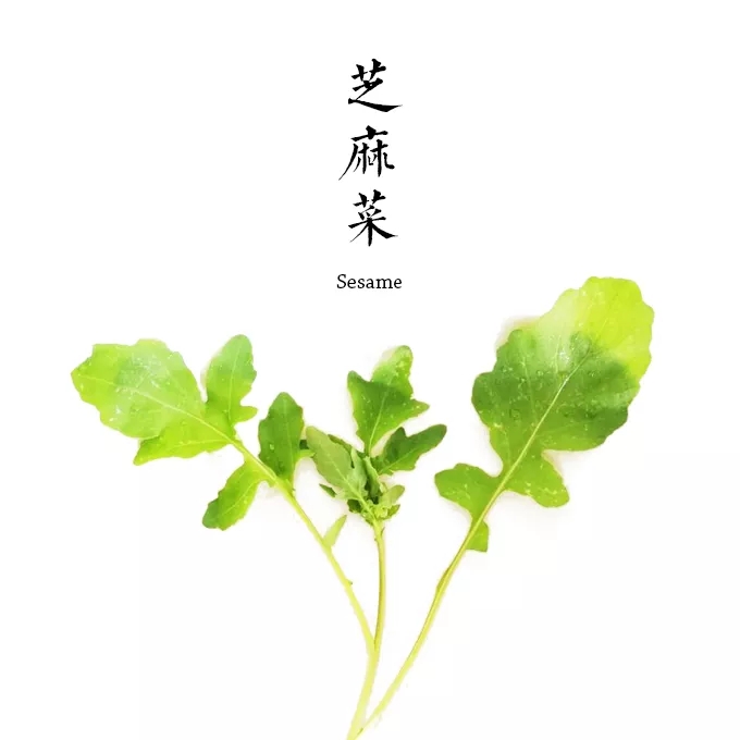 芝麻菜  200g
