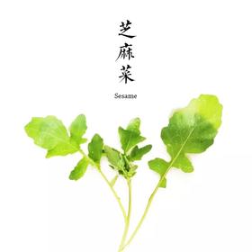 芝麻菜  200g