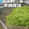【开化龙顶茶】今年新茶，新鲜采摘烘炒而成，浙江十大名茶，钱江源头2022年新茶，七道非遗工艺烘炒，送长辈送领导佳品，施有机肥，源头上保证品质 商品缩略图1