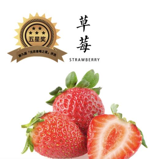 【草莓丰收季超级拼团】平人有机草莓3盒包邮装（ 400g*3）个头虽小 风味足 商品图0