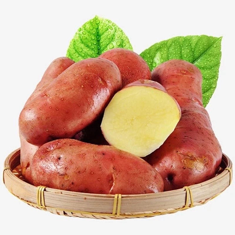【云南红皮土豆】
