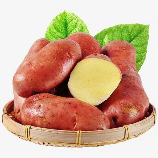 【云南红皮土豆】 商品图0