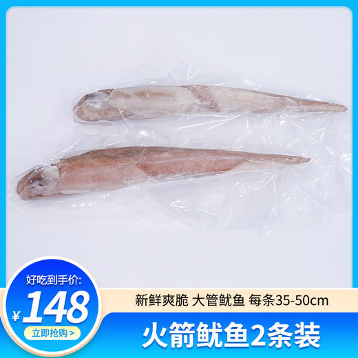 东山岛鲜活速冻火箭鱿鱼2条装（单条重量不低于0.9斤，尺寸35-50cm） 商品图0