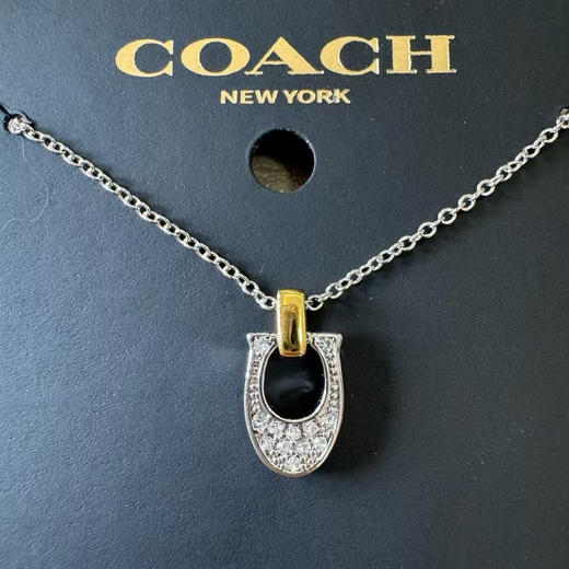 外贸原单 Coach/蔻驰最新款马蹄项链超帅 轻奢不撞款
颜色：玫瑰金 银色
简易包装 商品图10
