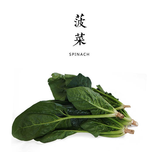 菠菜  300g（露地） 商品图0
