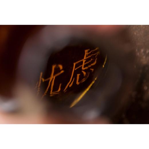 新民说·忧虑：一段文学与文化史（忧虑者的自查手册，“时代疾病”的文化指南） 商品图7