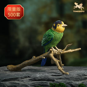 铜师傅《铜师傅百鸟集》之长尾阔嘴鸟 客厅桌面铜摆件 工艺品