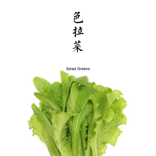沙拉菜  300g 商品图0
