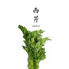 【丰收福利·榨汁特惠】西芹 5斤包邮装 商品缩略图0