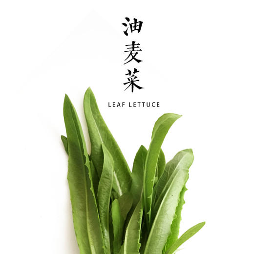 油麦菜  300g 商品图0