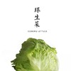 球生菜  750g 商品缩略图0