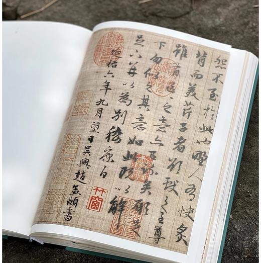 《书画本同 赵孟頫书画题跋集萃》，16开，精装，段奇编著，三联书店2025年4月一版一印，440页，定价398，售价298元。 商品图12