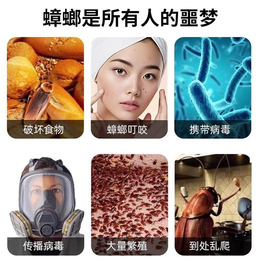 丽初净除蟑螂饵剂安全无毒 商品图2