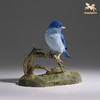 铜师傅《铜师傅百鸟集》之山蓝鸲 客厅桌面铜摆件 家居装饰工艺品 商品缩略图1