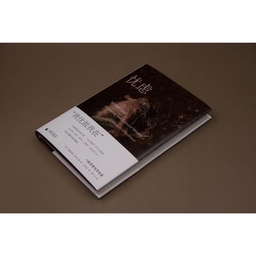 新民说·忧虑：一段文学与文化史（忧虑者的自查手册，“时代疾病”的文化指南） 商品图1