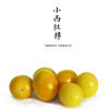 【丰收福利·买一赠一】小西红柿 500g  / 皮薄多汁，酸甜可口！ 商品缩略图0