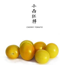 【丰收福利·买一赠一】小西红柿 500g  / 皮薄多汁，酸甜可口！