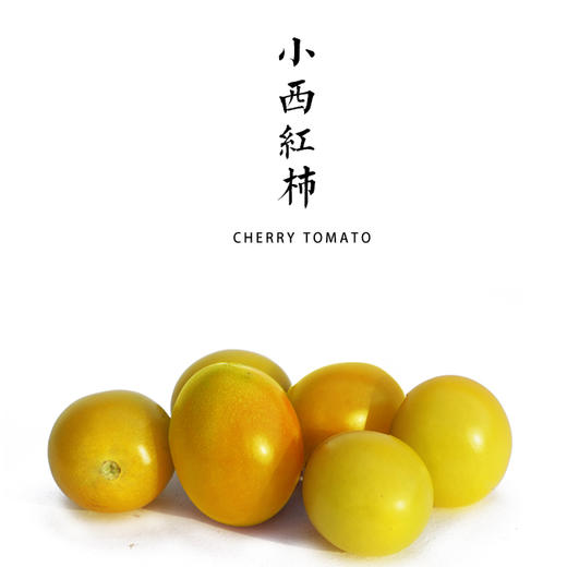 【丰收福利·买一赠一】小西红柿 500g  / 皮薄多汁，酸甜可口！ 商品图0