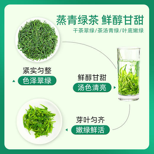 【2025新茶】茶马世家一级恩施玉露罐装70g 商品图3