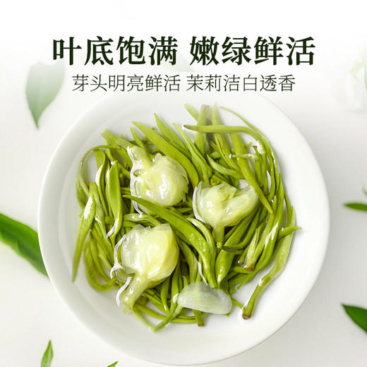 2025新茶精品茉莉花茶特级浓香型嫩芽200g花茶泥巴哥 商品图3