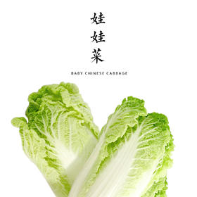 娃娃菜 1000g
