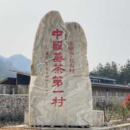 010张家界莓茶 【芽头】  长寿藤  富含天然活性成分【黄酮】 不含茶碱咖啡因 老少皆宜 商品图3