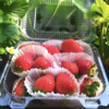 【草莓丰收季超级拼团】平人有机草莓3盒包邮装（ 400g*3）个头虽小 风味足 商品缩略图2