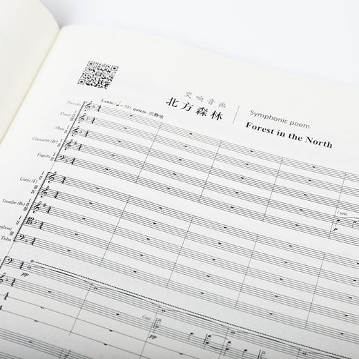 交响音画 北方森林 商品图2