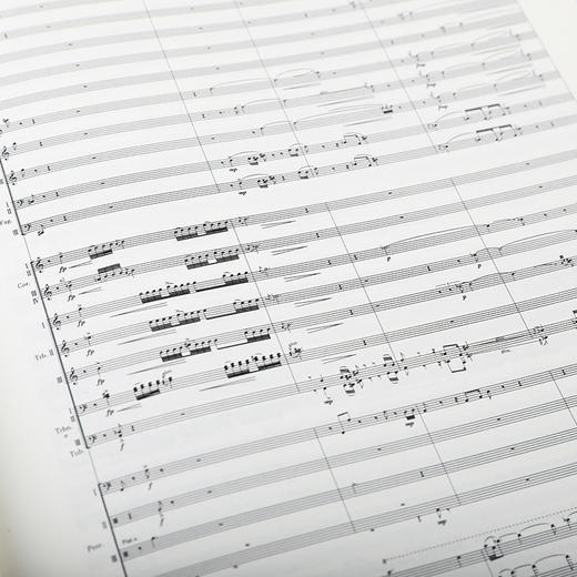 乐之吟 商品图1