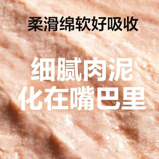 网易严选 网易天成 海陆空盛宴 零食猫条 商品图2