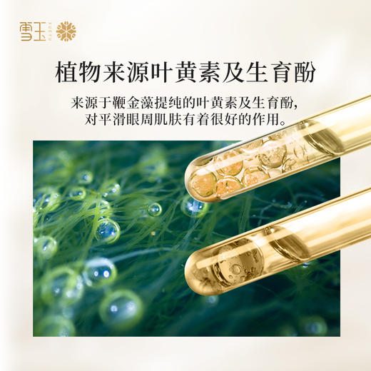 雪玉紧致抗皱焕颜眼周精华乳（20g/支） 商品图4