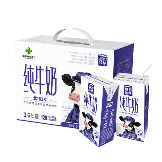 好礼乡伴纯牛奶M50-2503（仅限福建省内配送） 商品图0