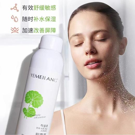 叶美朗积雪草舒缓补水保湿喷雾300ml 商品图2